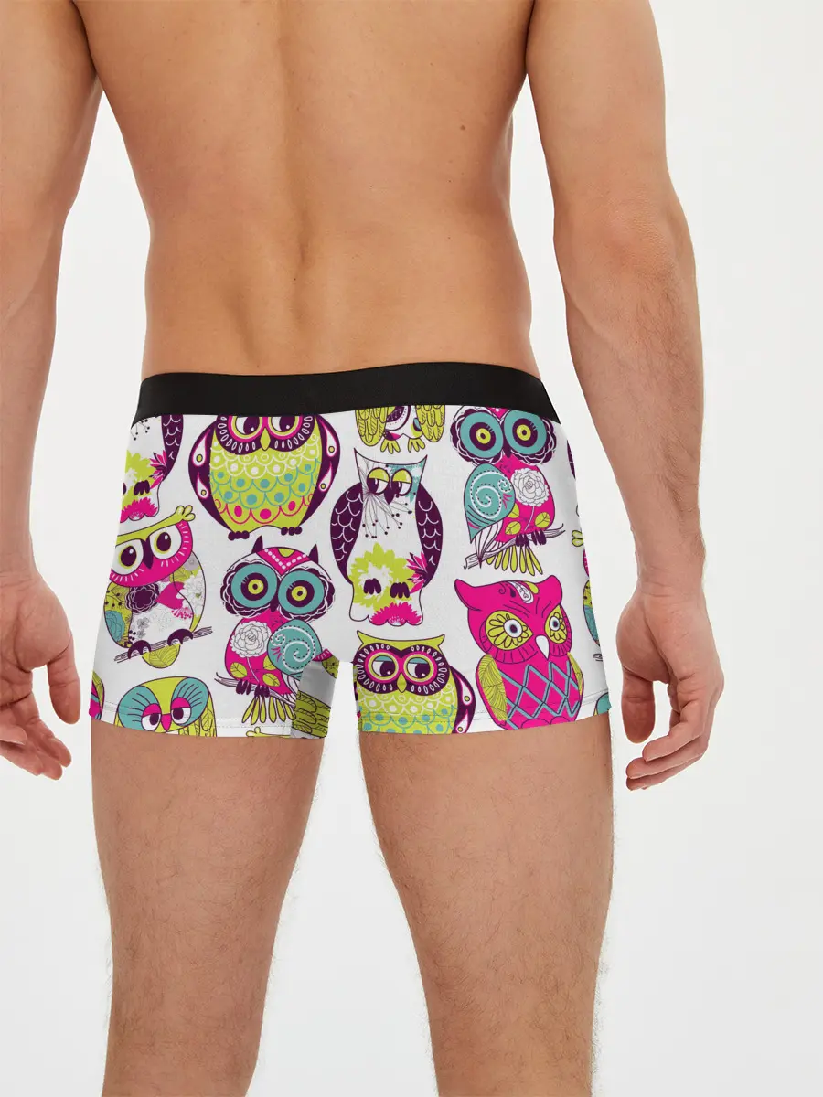 Мужские трусы боксеры / МУДРЫЕ СОВЫ | WISE OWLS