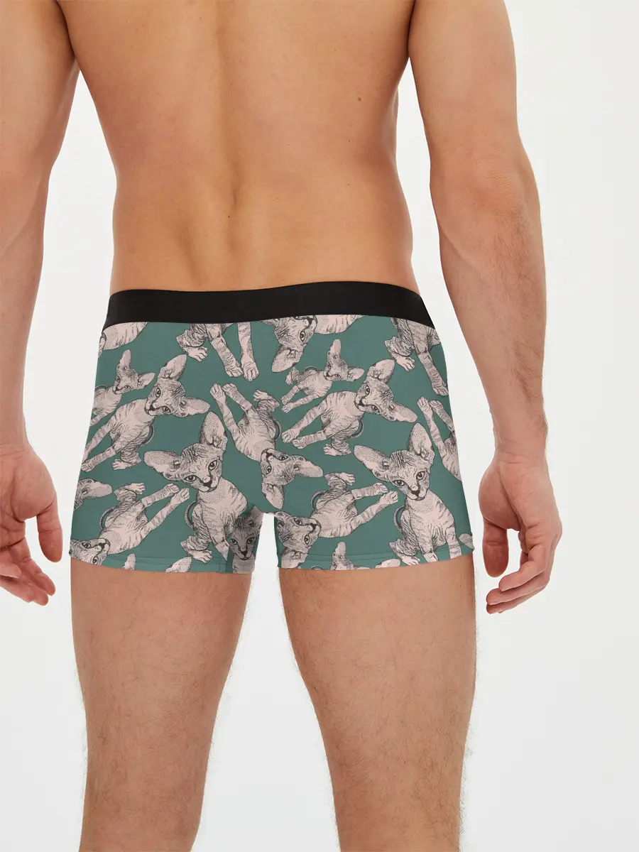 Мужские трусы боксеры / Котёнок сфинкса