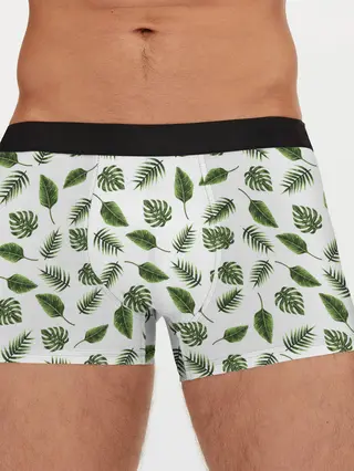 Мужские трусы боксеры / папоротник