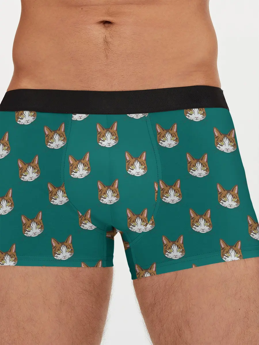 Мужские трусы боксеры / Рыжий кот паттерн