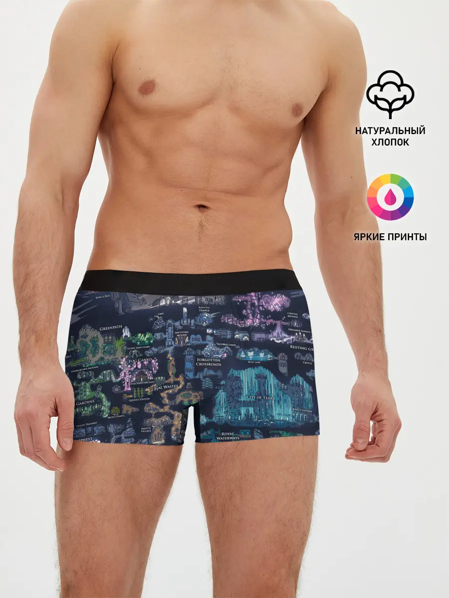 Мужские трусы боксеры / HOLLOW KNIGHT WORLD