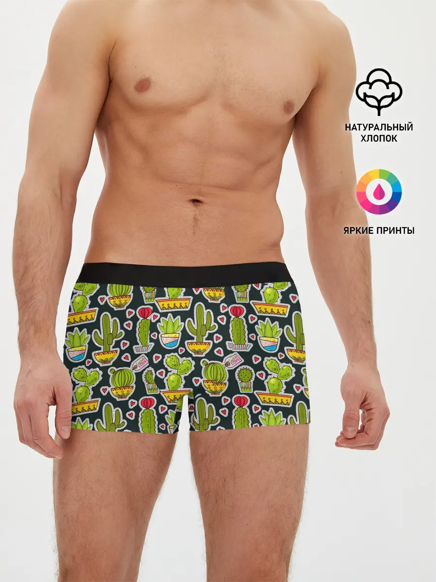 Мужские трусы боксеры / Кактусы