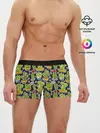 Мужские трусы боксеры / Кактусы