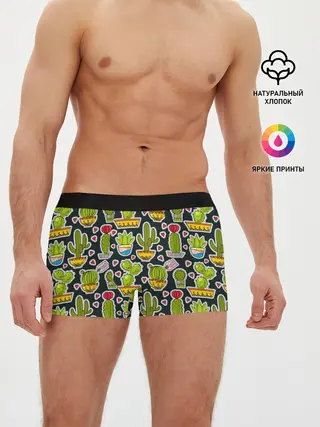 Мужские трусы боксеры / Кактусы