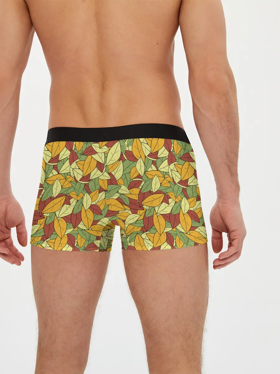 Мужские трусы боксеры / Яркие осенние листья
