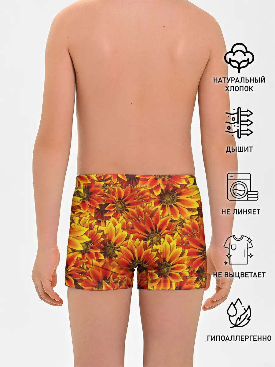 Трусы для мальчиков / ЦВЕТОЧНЫЙ ОРНАМЕНТ