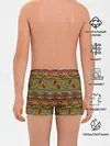 Трусы для мальчиков / Этнический орнамент