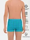 Трусы для мальчиков / Голубая клеточка