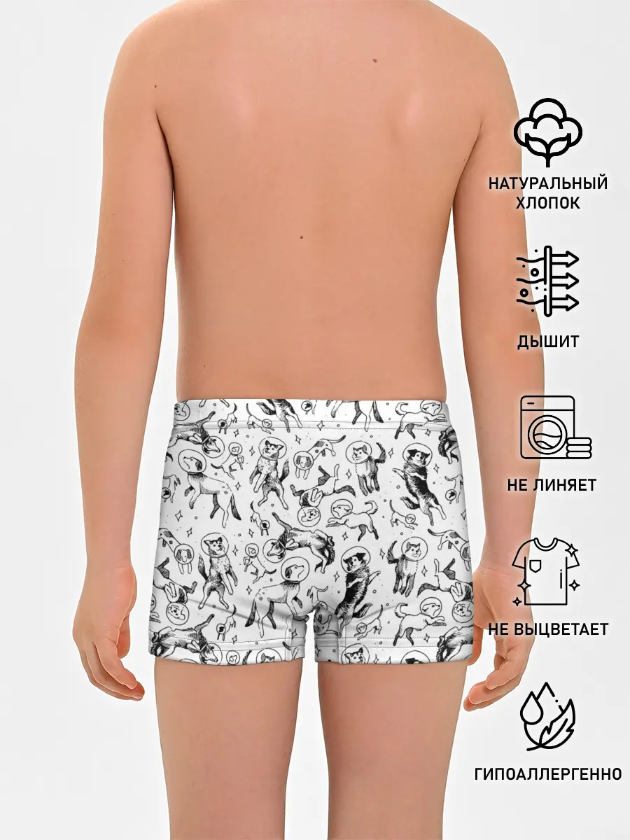 Трусы для мальчиков / Super Space Dogs