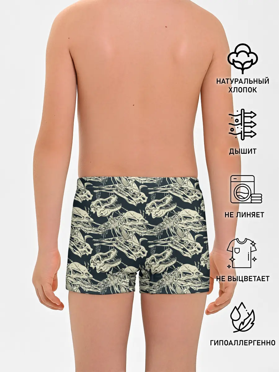 Трусы для мальчиков / Черепа динозавров