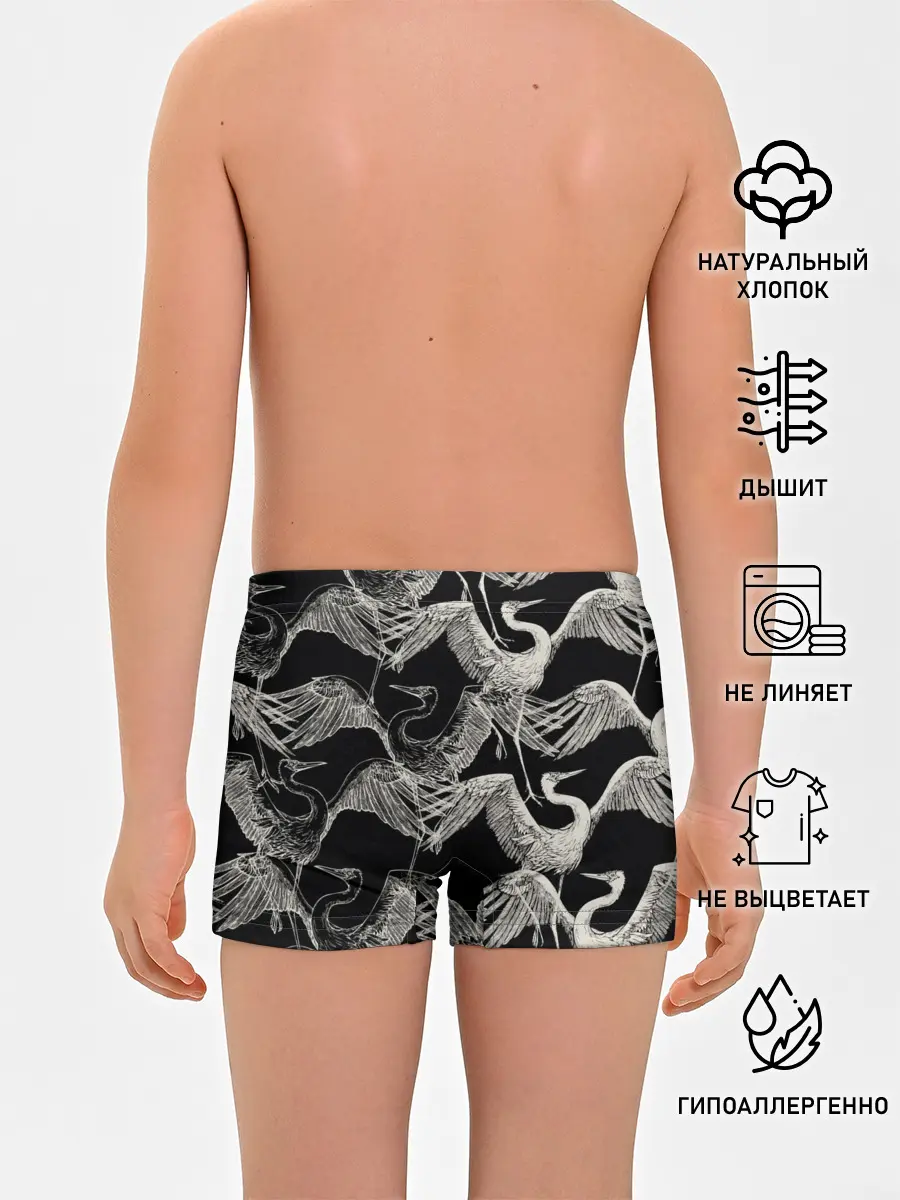 Трусы для мальчиков / Белые Птицы