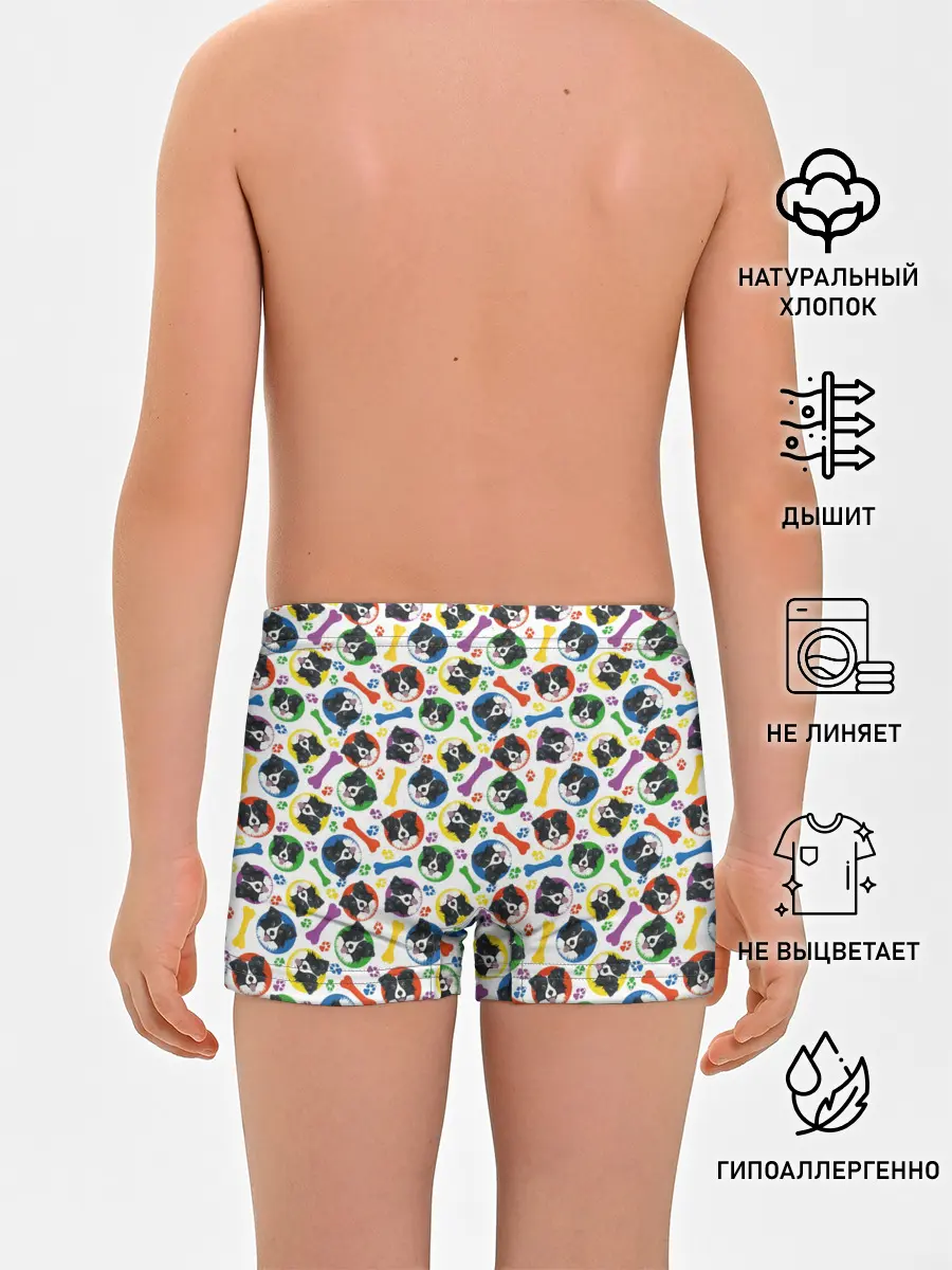 Трусы для мальчиков / Бордер-Колли