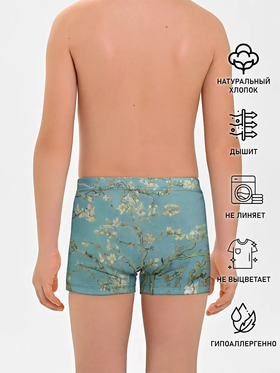 Трусы для мальчиков / Ван Гог Цветущие ветки миндаля