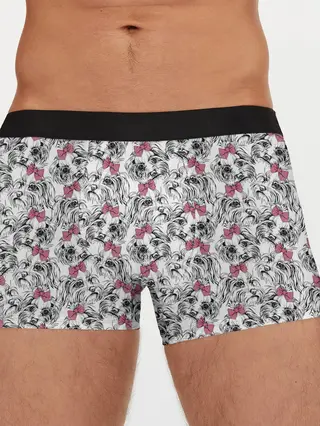 Мужские трусы боксеры / Мальтийская Болонка