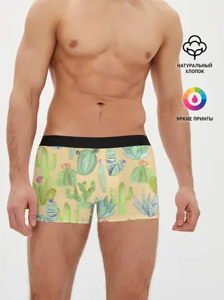 Мужские трусы боксеры / Кактусы в пустыне