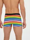 Мужские трусы боксеры / Радужные полосы