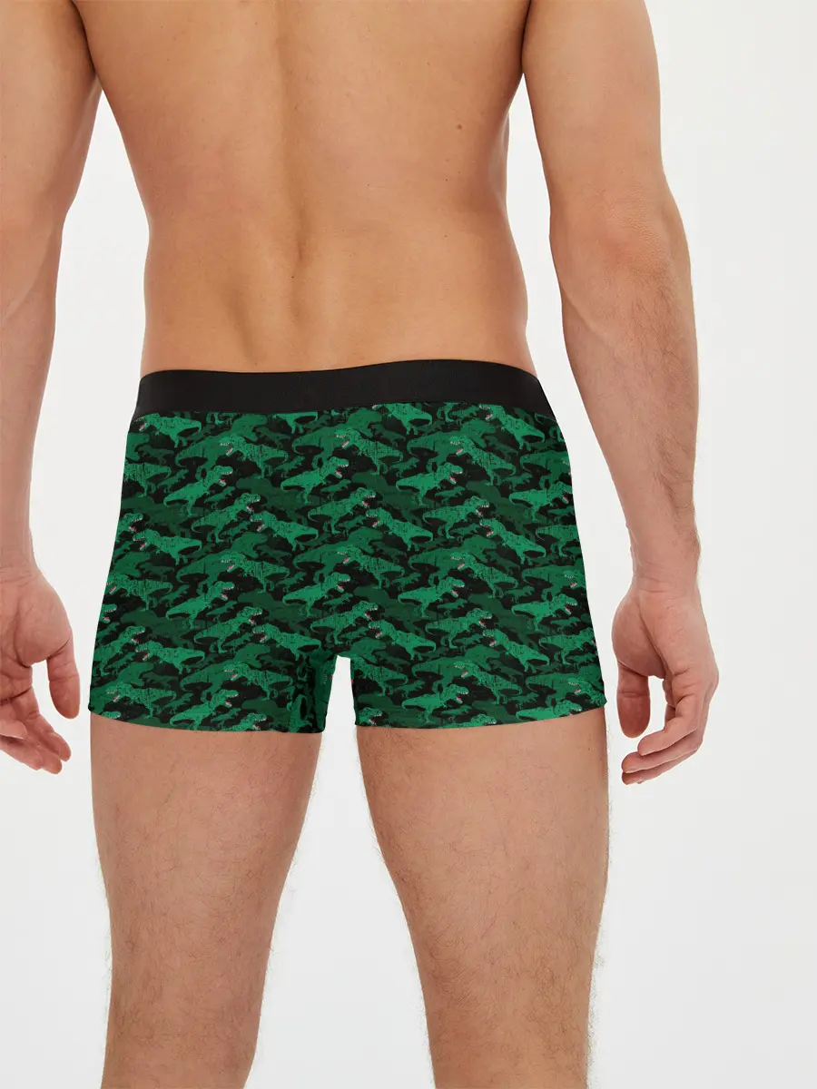 Мужские трусы боксеры / Динозавры