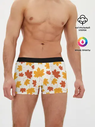 Мужские трусы боксеры / Осень / Autumn