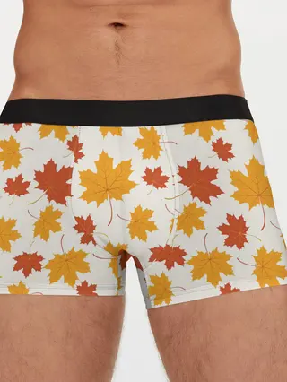 Мужские трусы боксеры / Осень / Autumn