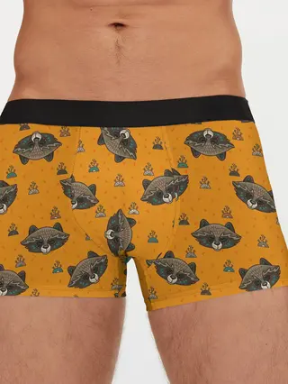 Мужские трусы боксеры / Енотики