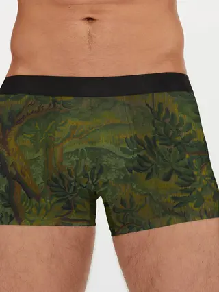 Мужские трусы боксеры / Зеркальный лес