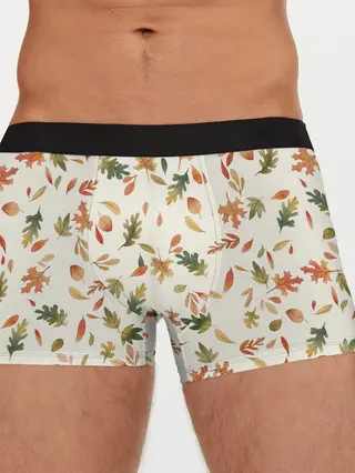 Мужские трусы боксеры / Тёплая осень