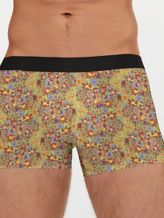 Мужские трусы боксеры / Волшебный лес.