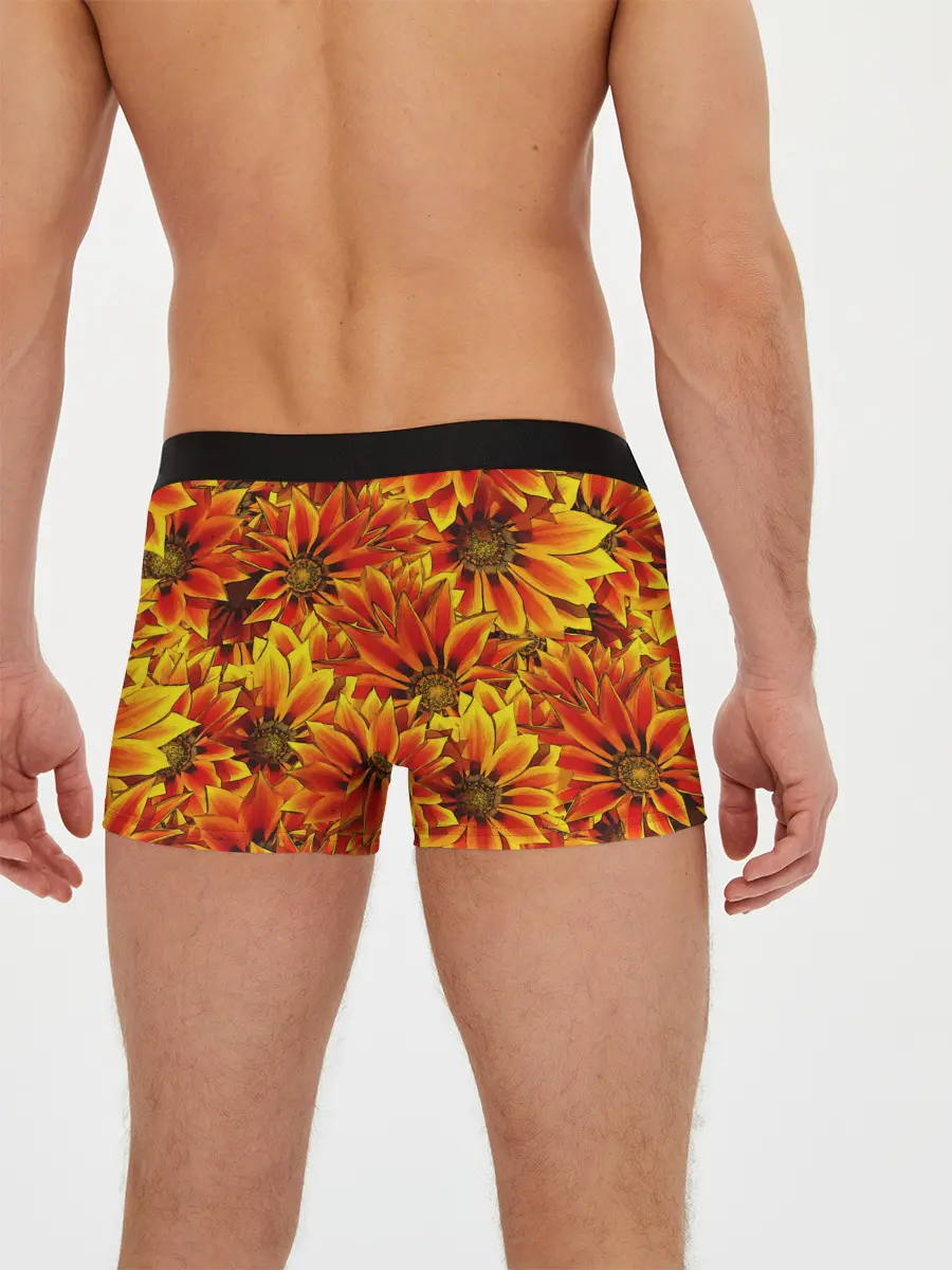 Мужские трусы боксеры / ЦВЕТОЧНЫЙ ОРНАМЕНТ