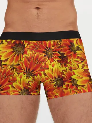 Мужские трусы боксеры / ЦВЕТОЧНЫЙ ОРНАМЕНТ
