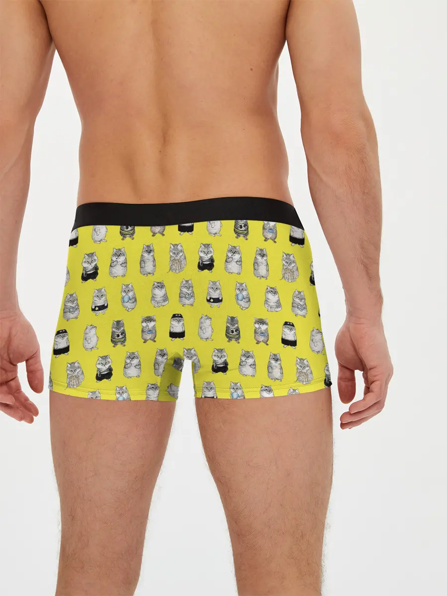 Мужские трусы боксеры / Я, Цусима