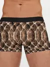 Мужские трусы боксеры / Snake Skin
