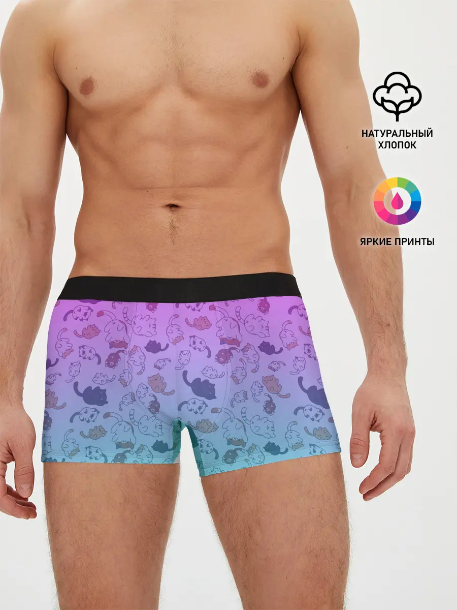 Мужские трусы боксеры / Котики в полете