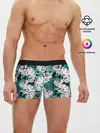 Мужские трусы боксеры / Хамелеоны