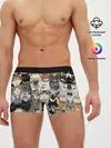 Мужские трусы боксеры / Котики смешные