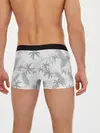 Мужские трусы боксеры / ПАЛЬМЫ | ЛЕТО | TROPICAL