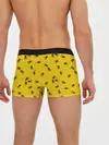 Мужские трусы боксеры / Пчелы в сотах