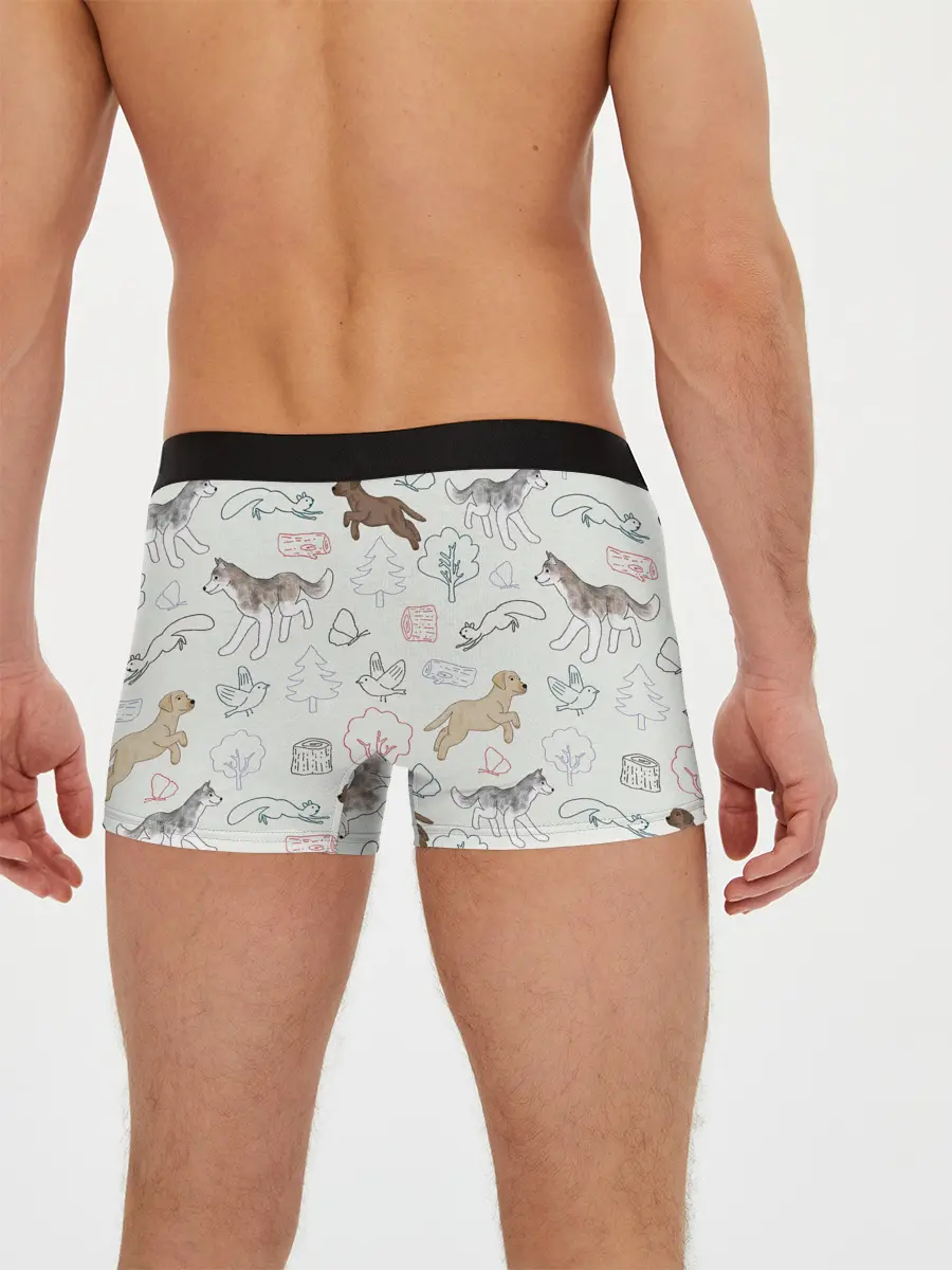 Мужские трусы боксеры / Рисунок домашних любимцев