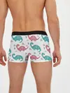 Мужские трусы боксеры / Милые динозаврики