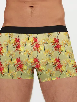 Мужские трусы боксеры / самый осенний принт