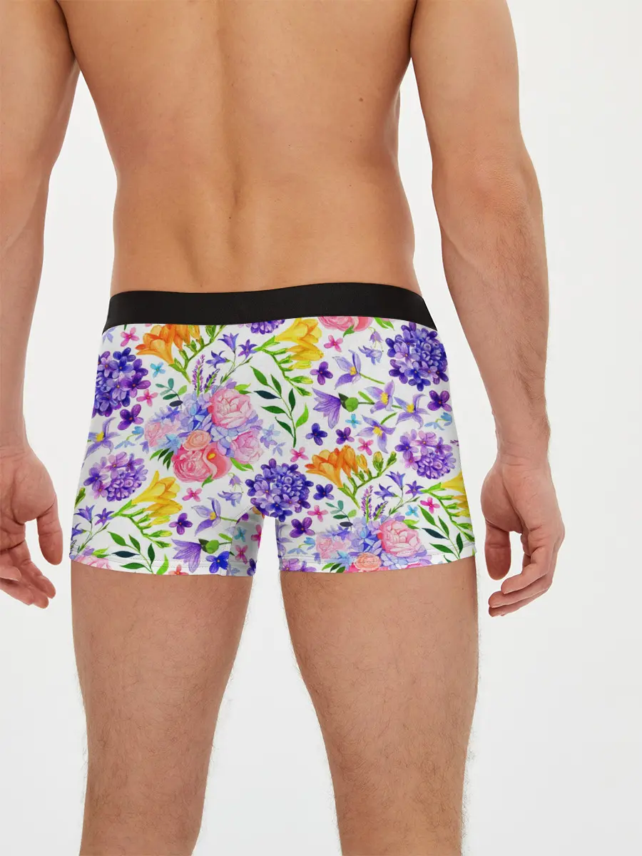 Мужские трусы боксеры / Весенняя пора | Акварель