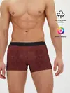 Мужские трусы боксеры / Isaacs pattern