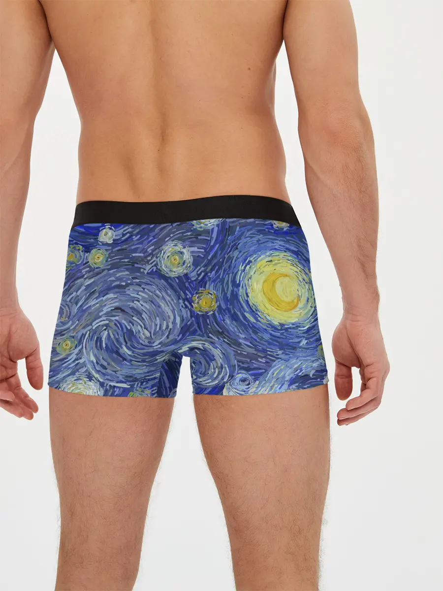 Мужские трусы боксеры / Полотно ван Гога