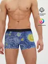 Мужские трусы боксеры / Полотно ван Гога