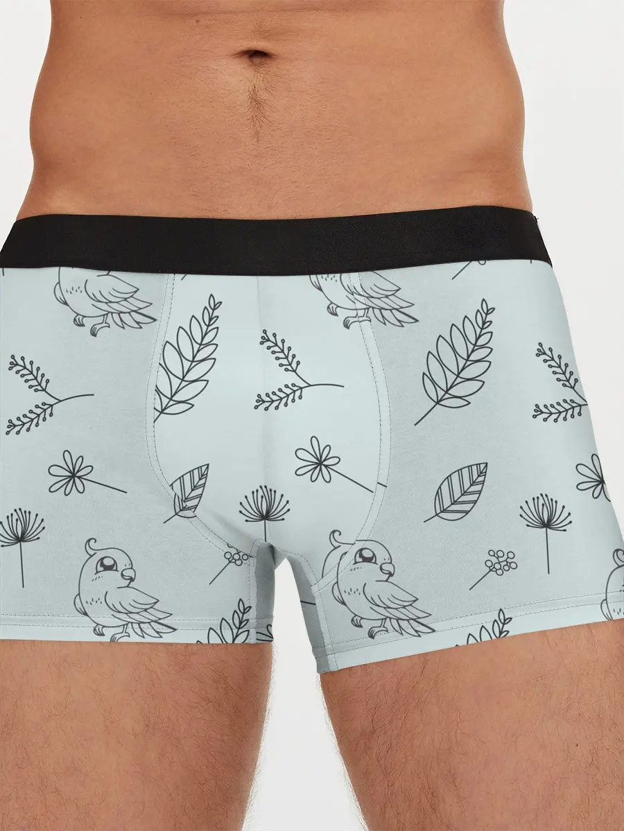 Мужские трусы боксеры / Милые птички
