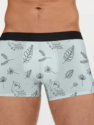Мужские трусы боксеры / Милые птички