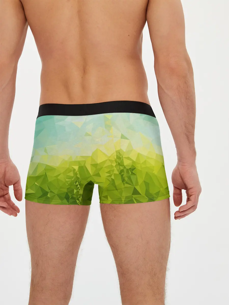 Мужские трусы боксеры / Природная Абстракция