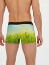 Мужские трусы боксеры / Природная Абстракция