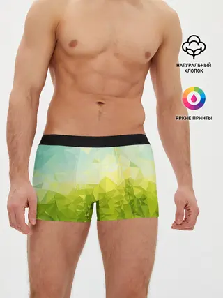 Мужские трусы боксеры / Природная Абстракция