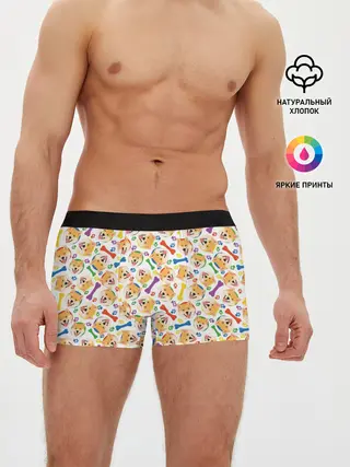 Мужские трусы боксеры / Сиба Ину