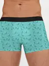Мужские трусы боксеры / Зеленые птицы летний узор